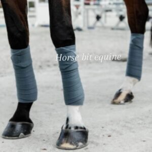 Horse BAndging